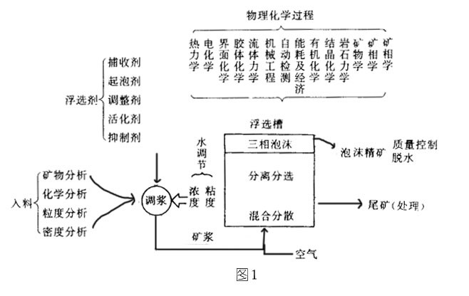 浮選機泡沫浮選的過程和基本概念