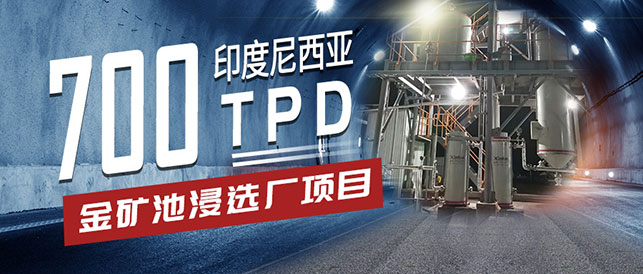 印度尼西亞700TPD金礦池浸選礦項目